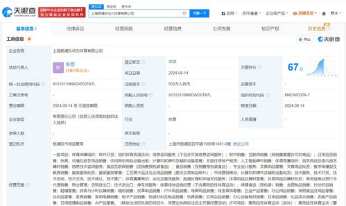 阿里橙獅上海落子，布局數據處理與存儲服務新篇章
